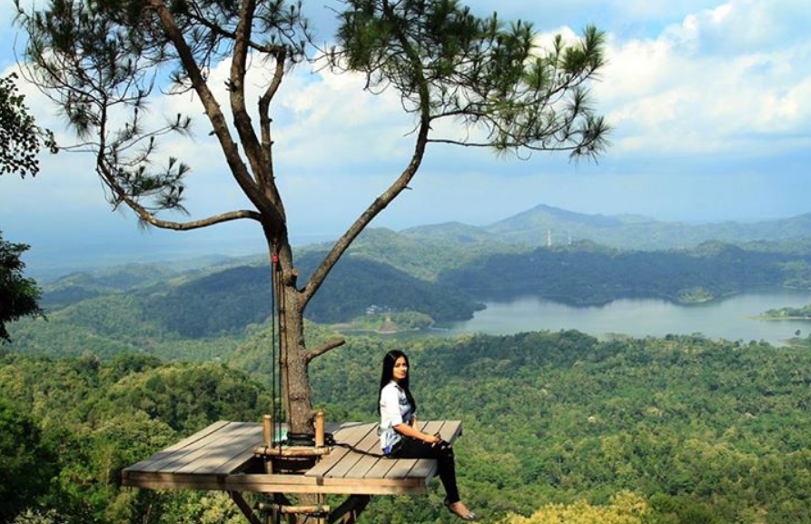 Destinasi Wisata Kalibiru Jogja