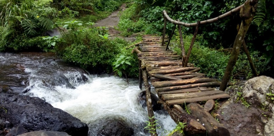 Jembatan Kayu Curug Tilu Leuwi opat