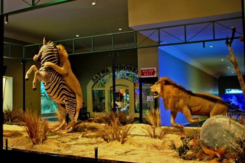 Museum Satwa Jatim Park