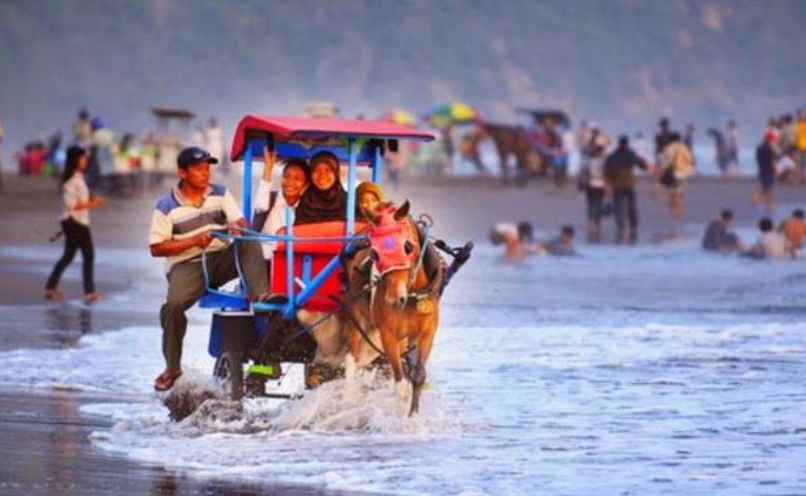 Kegiatan yang Bisa di Lakukan di Pantai Parangtritis