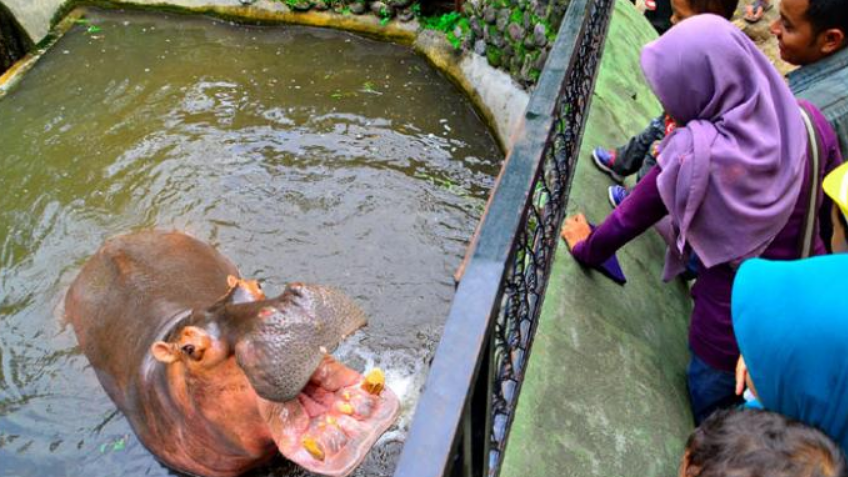 Gembira Loka Merupakan Wisata Edukasi Bagi Anak