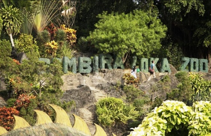 Keindahan Destinasi Wisata Kebun Binatang Gembira Loka Yogyakata