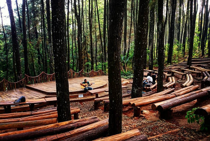 Keistimewaan Yang Dimiliki Wisata Hutan Pinus Mangunan