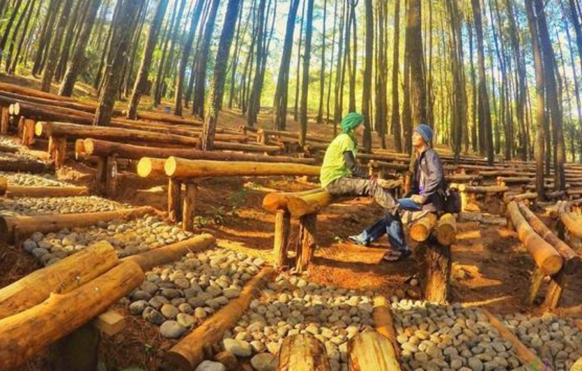 Rute Jalan Menuju Wisata Hutan Pinus Mangunan Dlingo