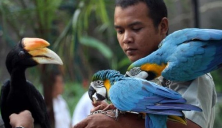 Taman Burung Gembira Loka