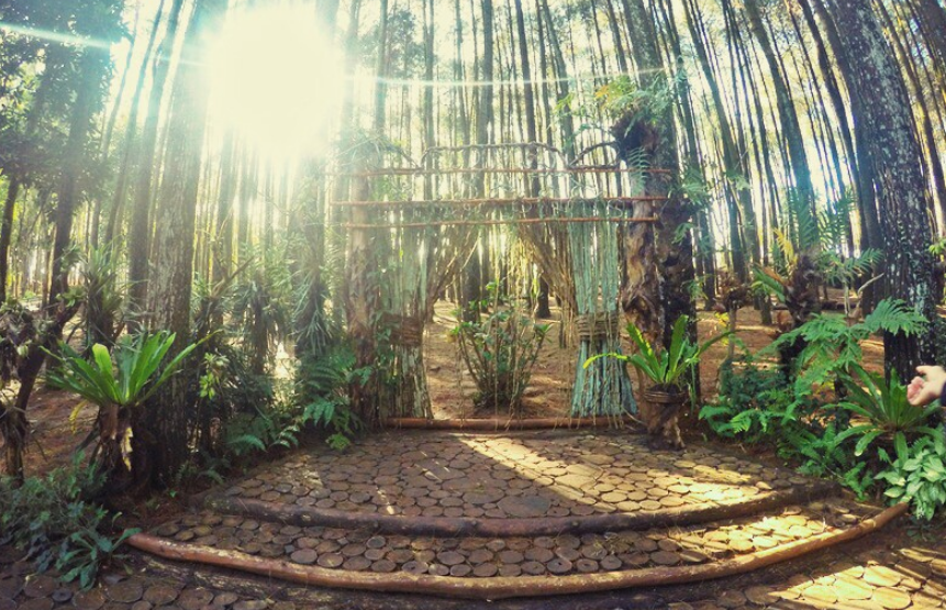 Tiket Masuk ke Wisata Hutan Pinus Mangunan