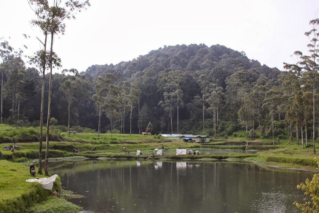 Bumi Perkemahan Ranca Upas