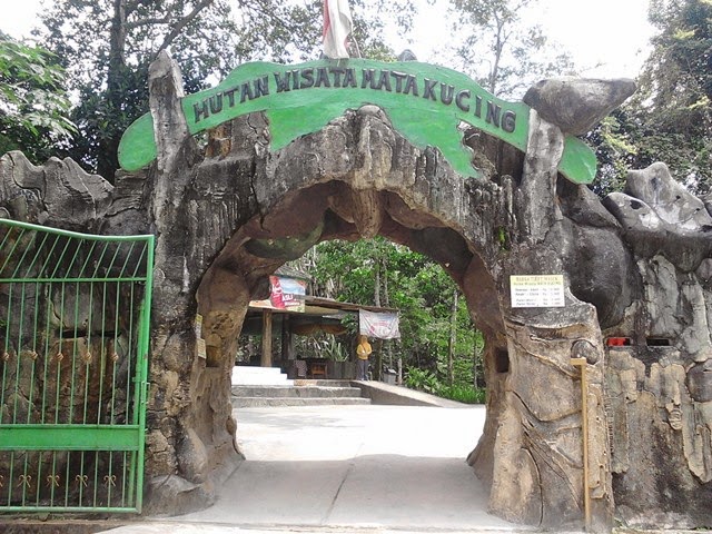 Hutan Wisata Mata Kucing