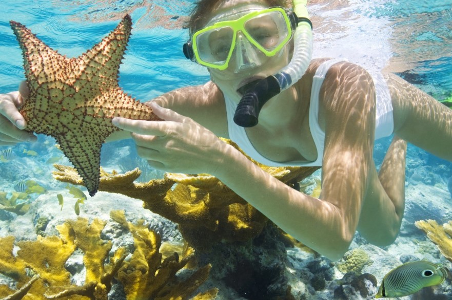 Diving dan Snorkling