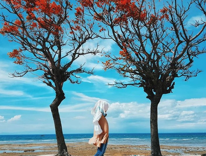 Harga Tiket Masuk dan Snorkeling Gili Ketapang