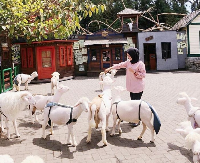 Kebun Binatang