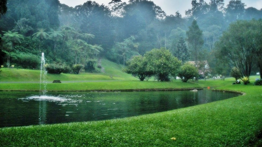 Keindahan dan Kesejukan Kebun Raya Cibodas