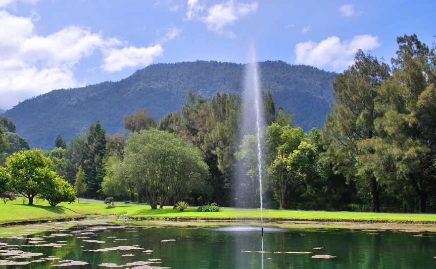 Lokasi Wisata Kebun Raya Cibodas