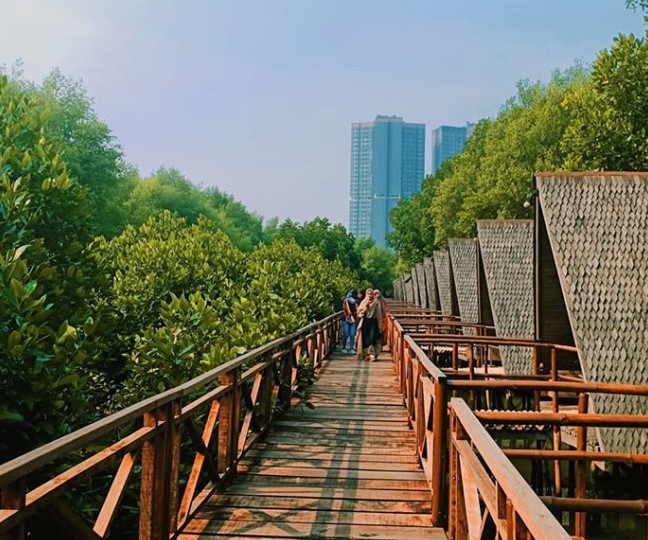 Pesona Hutan Mangrove Jakarta dan Beragam Kegiatan yang Bisa Dilakuka