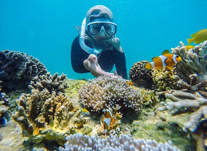 Pesona Keindahan Terumbu Karang di Gili Ketapang