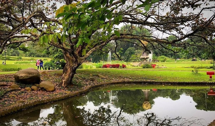 Rekomendasi Spot Menarik di Kebun Raya Bogor