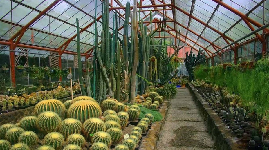 Rumah Kaca Kebun Raya Cibodas