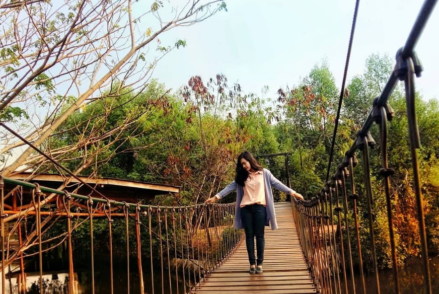 Rute dan Lokasi Hutan Mangrove Jakarta