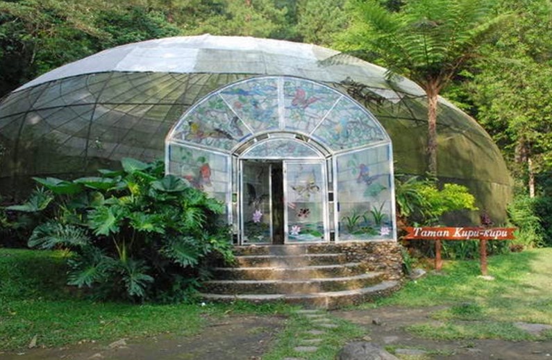 Taman Kupu-Kupu Curug Cilember