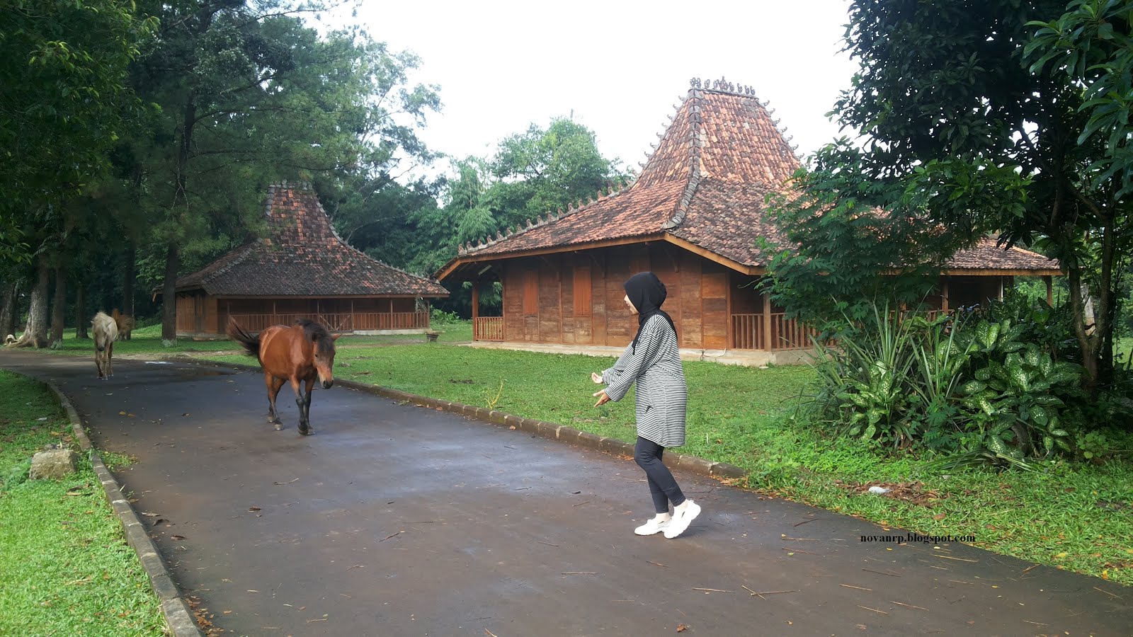 Studio Alam TVRI