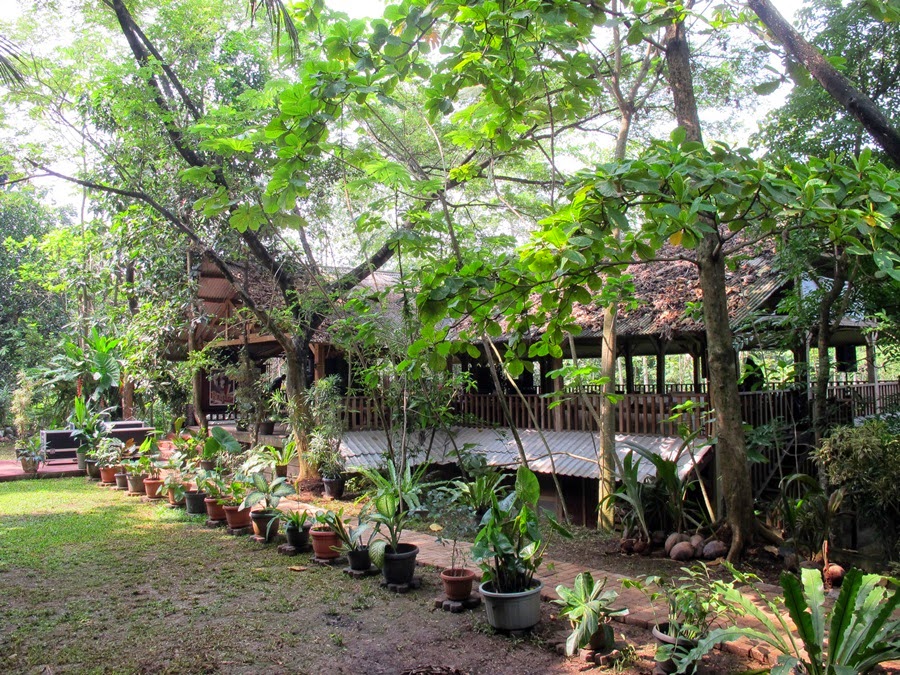 Kampung 99 Pepohonan
