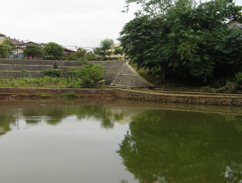 Situ Pancoran Mas