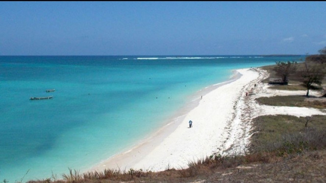 Pantai Cemara