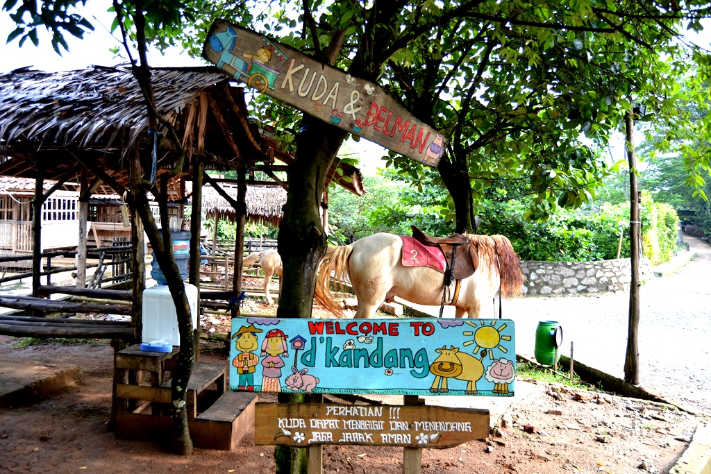 D'Kandang Amazing Farm