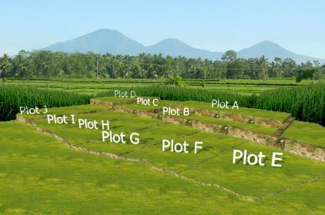 Tips Membeli Tanah Kapling