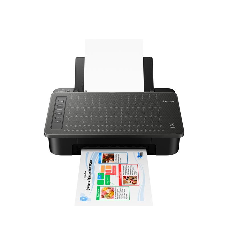 Canon PIXMA TS307 Inkjet Printer